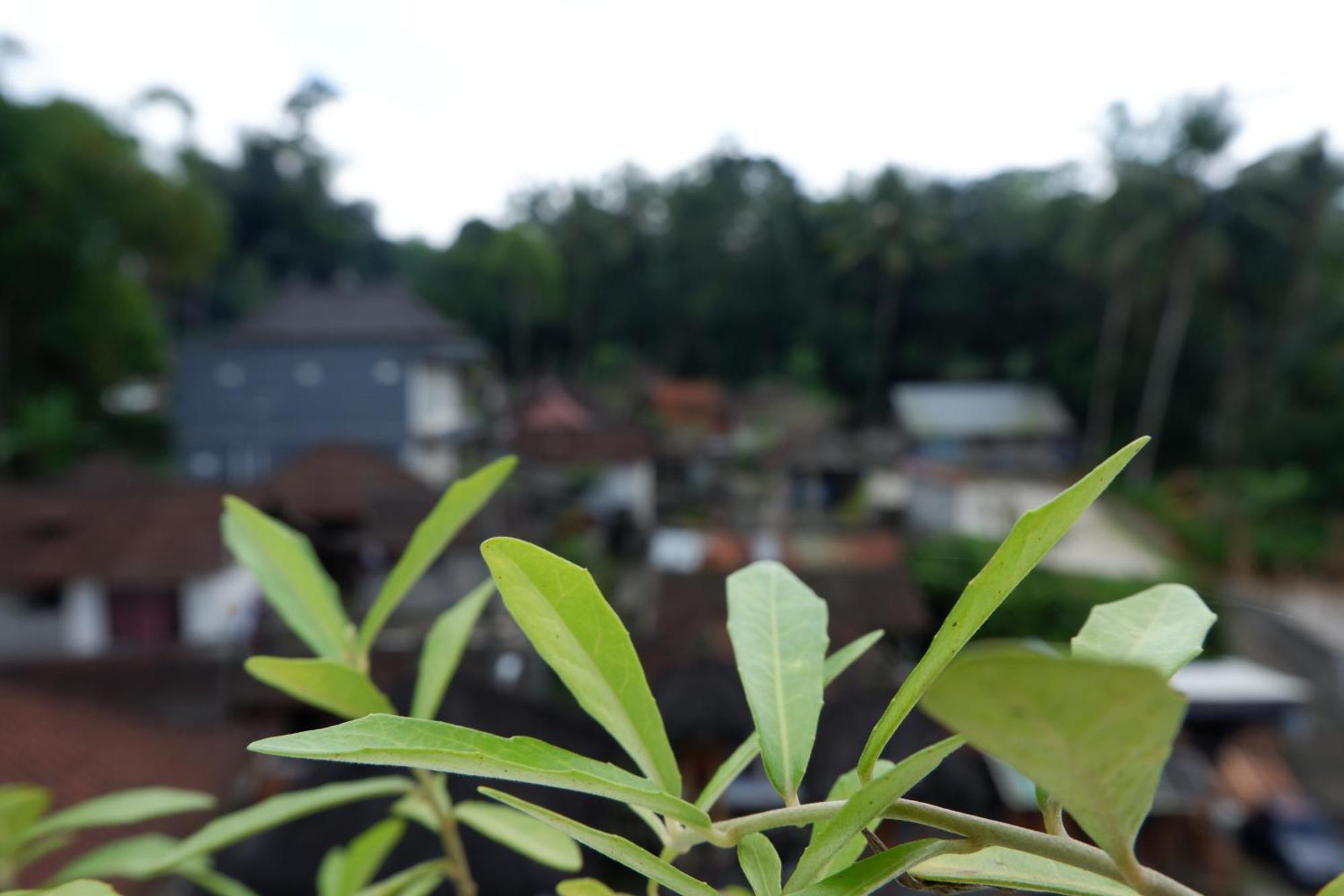 Ramaya Ubud View By Eps מראה חיצוני תמונה