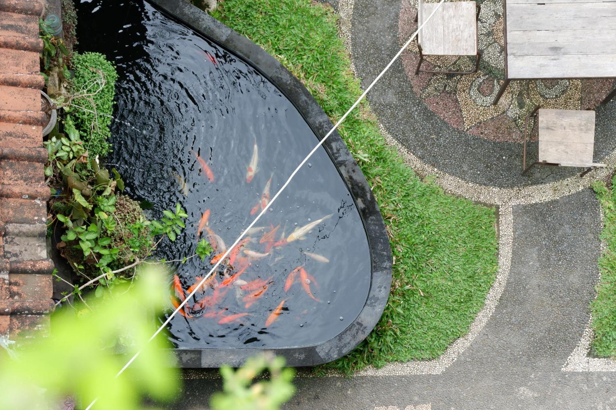 Ramaya Ubud View By Eps מראה חיצוני תמונה